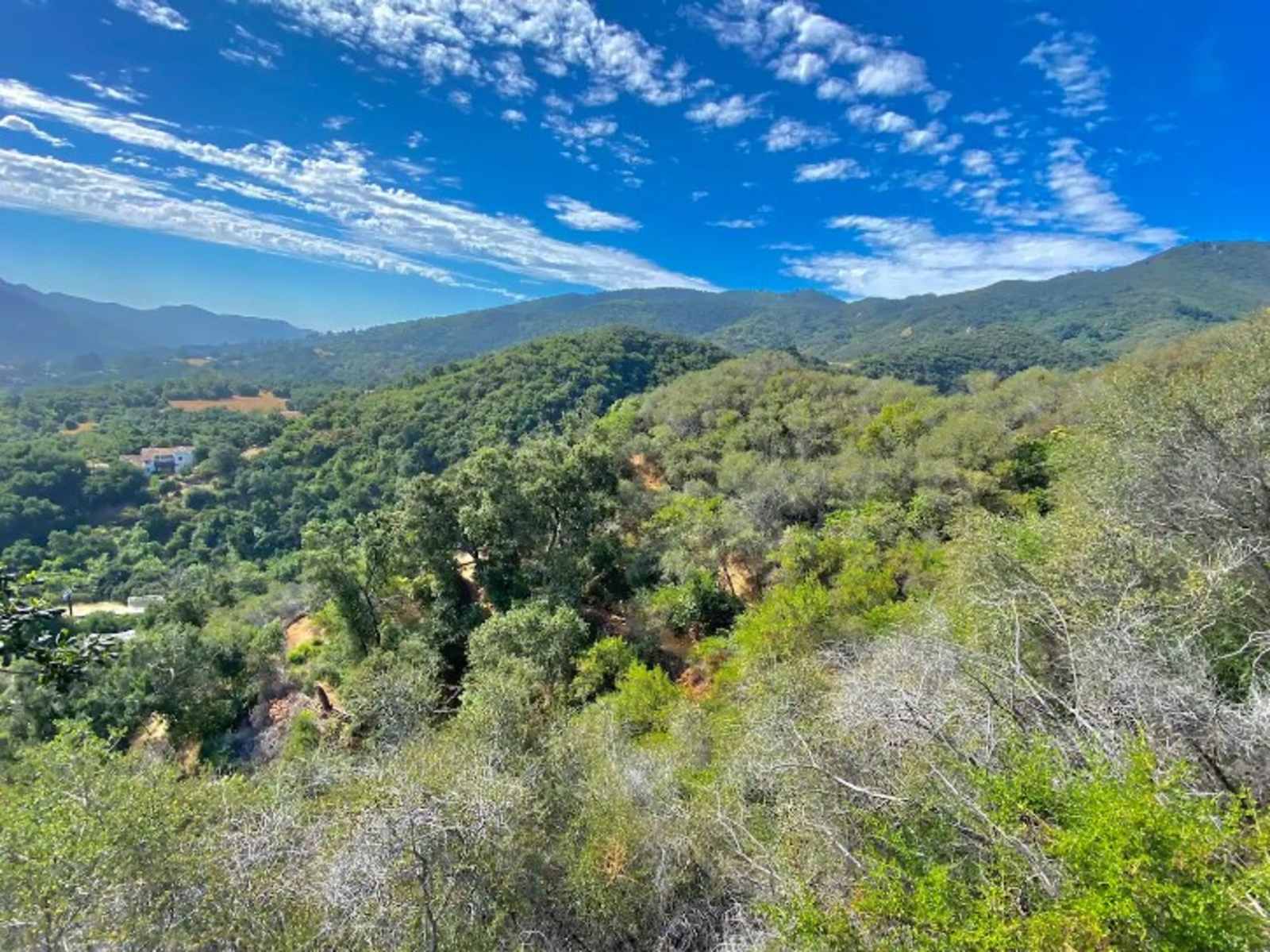 Topanga Oasis - Topanga, California - glamping.directory