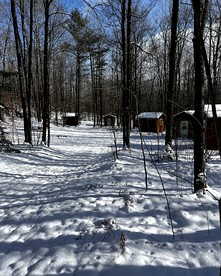 Quaint Cabin Surrounded by Nature for a Peaceful Retreat in White Lake, Wisconsin - White Lake, Wisconsin - glamping.directory