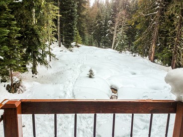 Secluded Ski-In and Ski-Out Cabin with Private Sauna on Mount Hood in Oregon - Government Camp, Oregon - glamping.directory