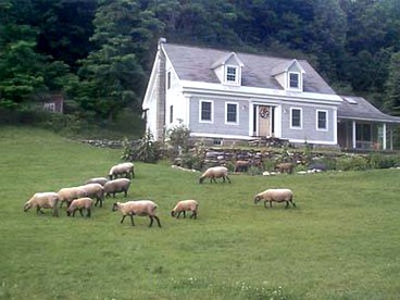 Beautiful Vacation Accommodation with Stunning Views near Lake Madeline, Vermont - Sandgate, Vermont - glamping.directory