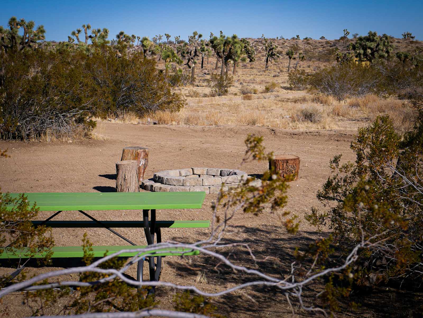 Serene! 15 min to Joshua Natl Park - Yucca Valley, California - glamping.directory