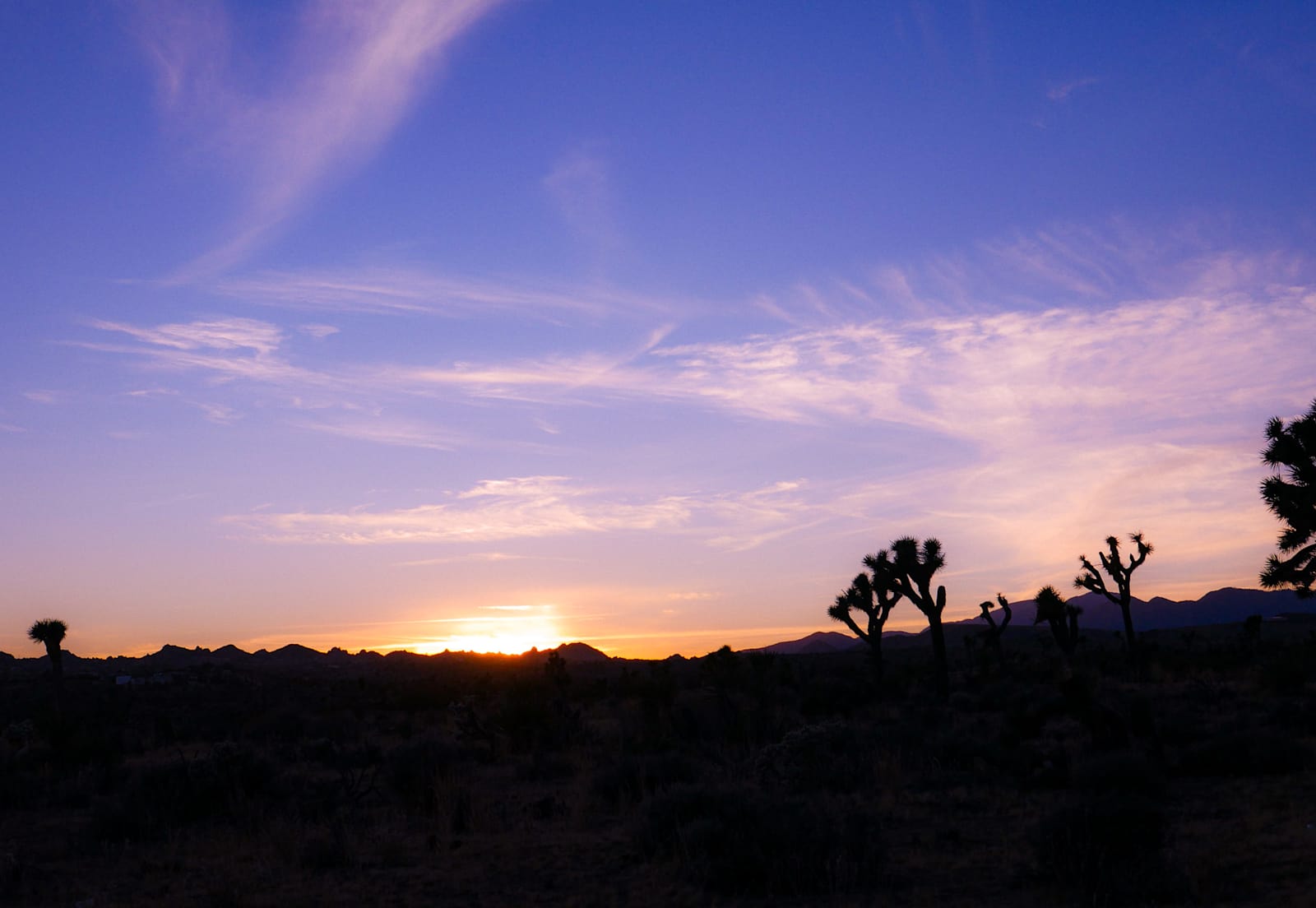 Serene! 15 min to Joshua Natl Park - Yucca Valley, California - glamping.directory