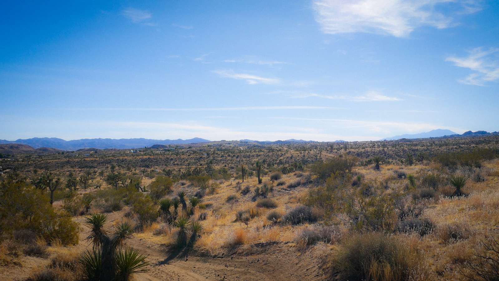 Serene! 15 min to Joshua Natl Park - Yucca Valley, California - glamping.directory