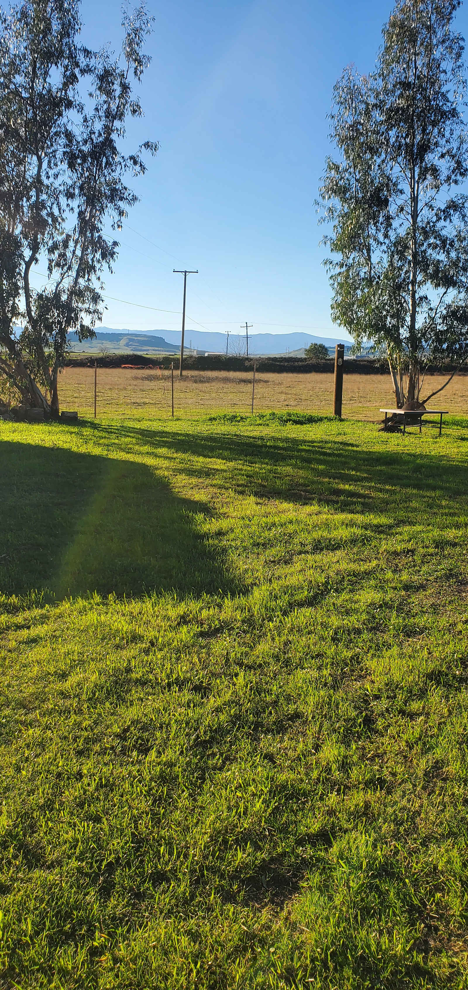 Just a bit of farm time - Orland, California - glamping.directory
