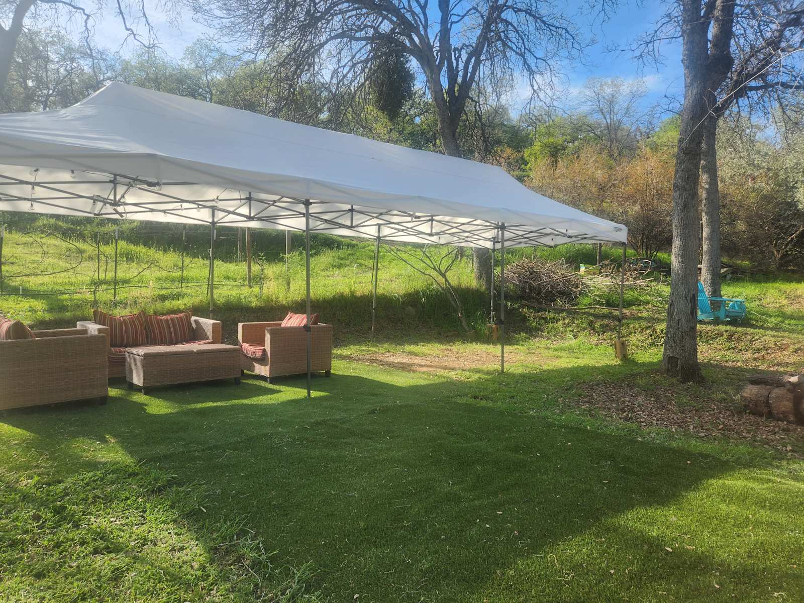 Remeadies Intoxicating Potions - Squaw Valley, California - glamping.directory