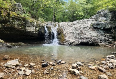 Beautifully Restored Getaway, Perfect for Groups and Relaxing Stays in Hot Springs, Arkansas - Hot Springs, Arkansas - glamping.directory