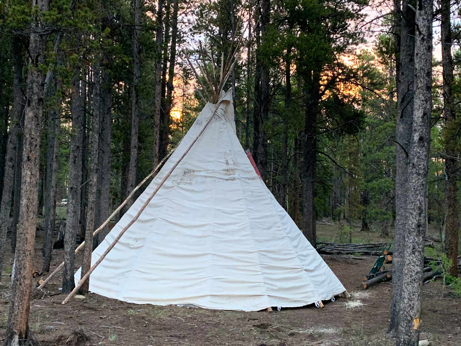 Lodge pole forest - Fairplay, Colorado - glamping.directory