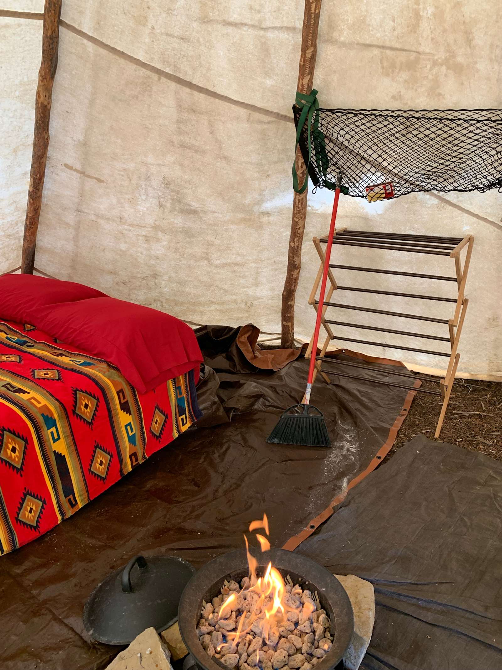 Lodge pole forest - Fairplay, Colorado - glamping.directory