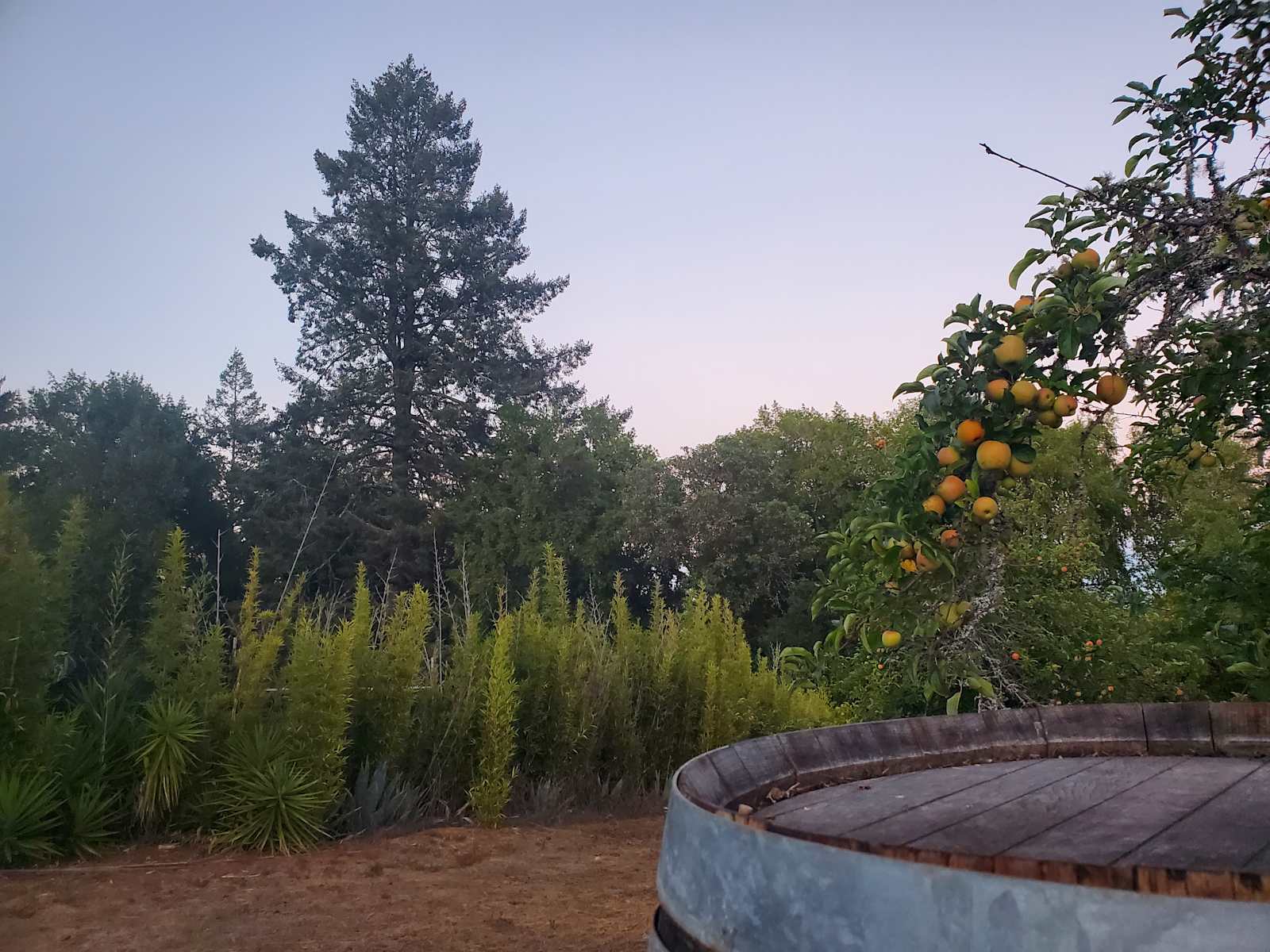 Rancho Laslendini - glamping.directory