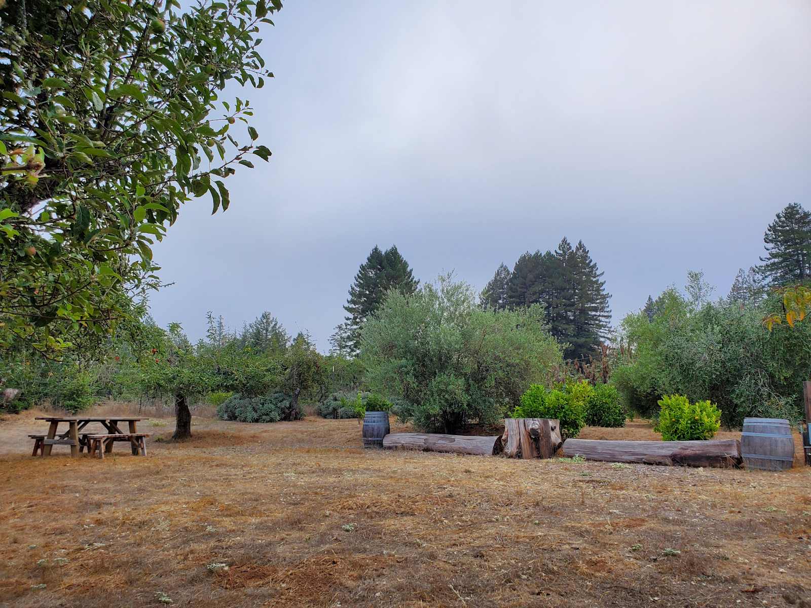 Rancho Laslendini - Occidental, California - glamping.directory