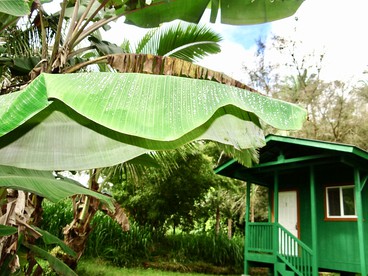 Eco-Friendly Cabin for a Romantic Getaway near Volcano, Hawaii - Pahoa, Hawaii - glamping.directory