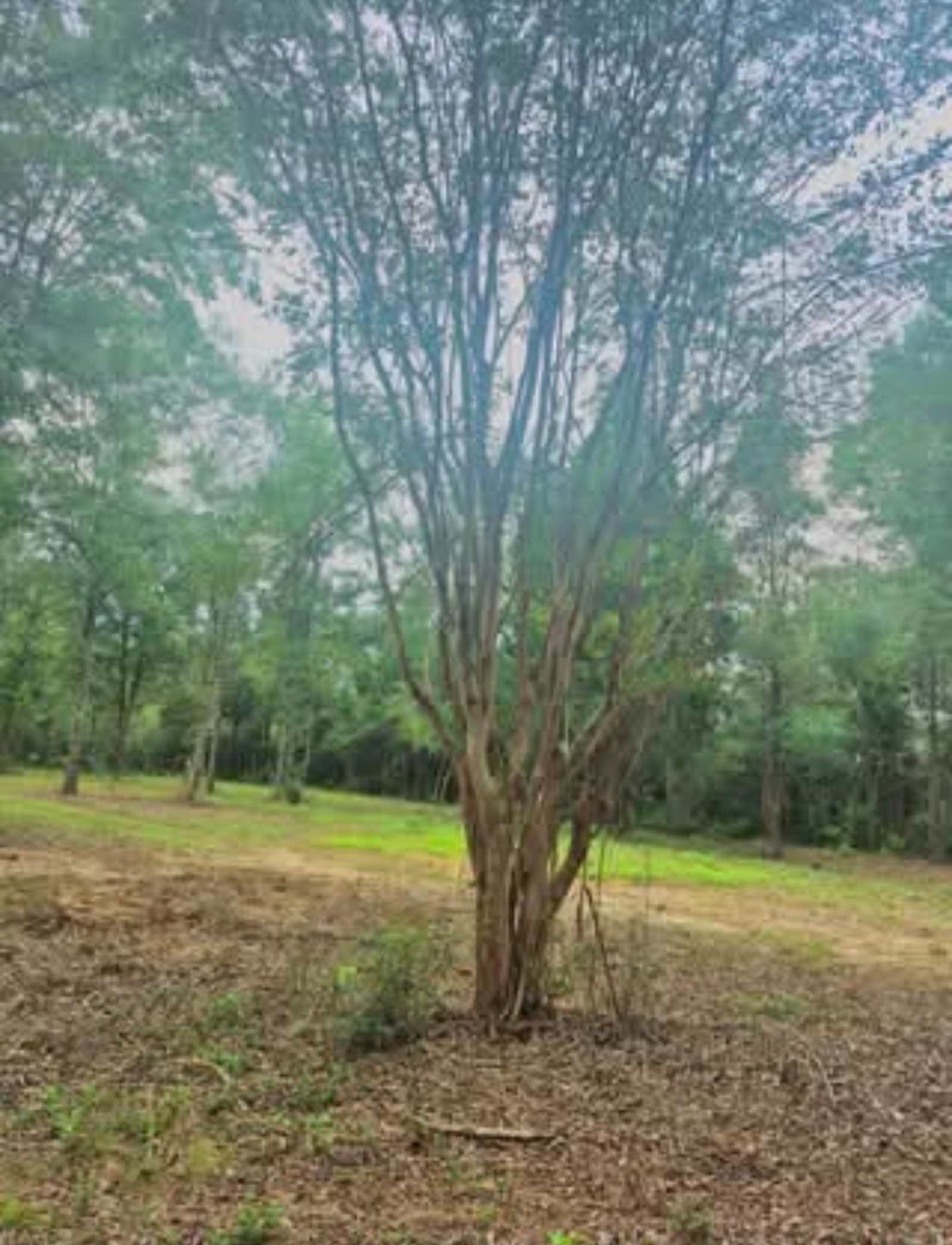 Gateswood GetAway - Robertsdale, Alabama - glamping.directory