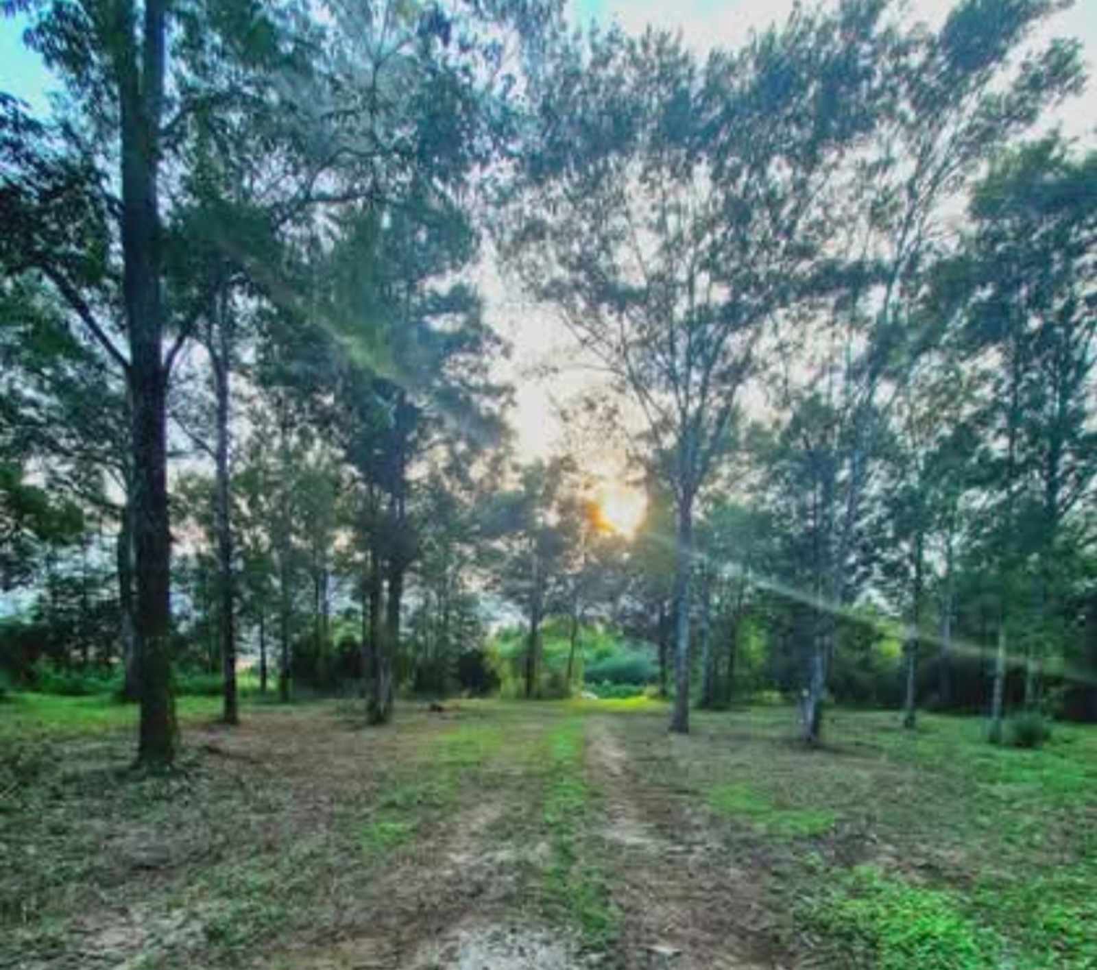 Gateswood GetAway - glamping.directory