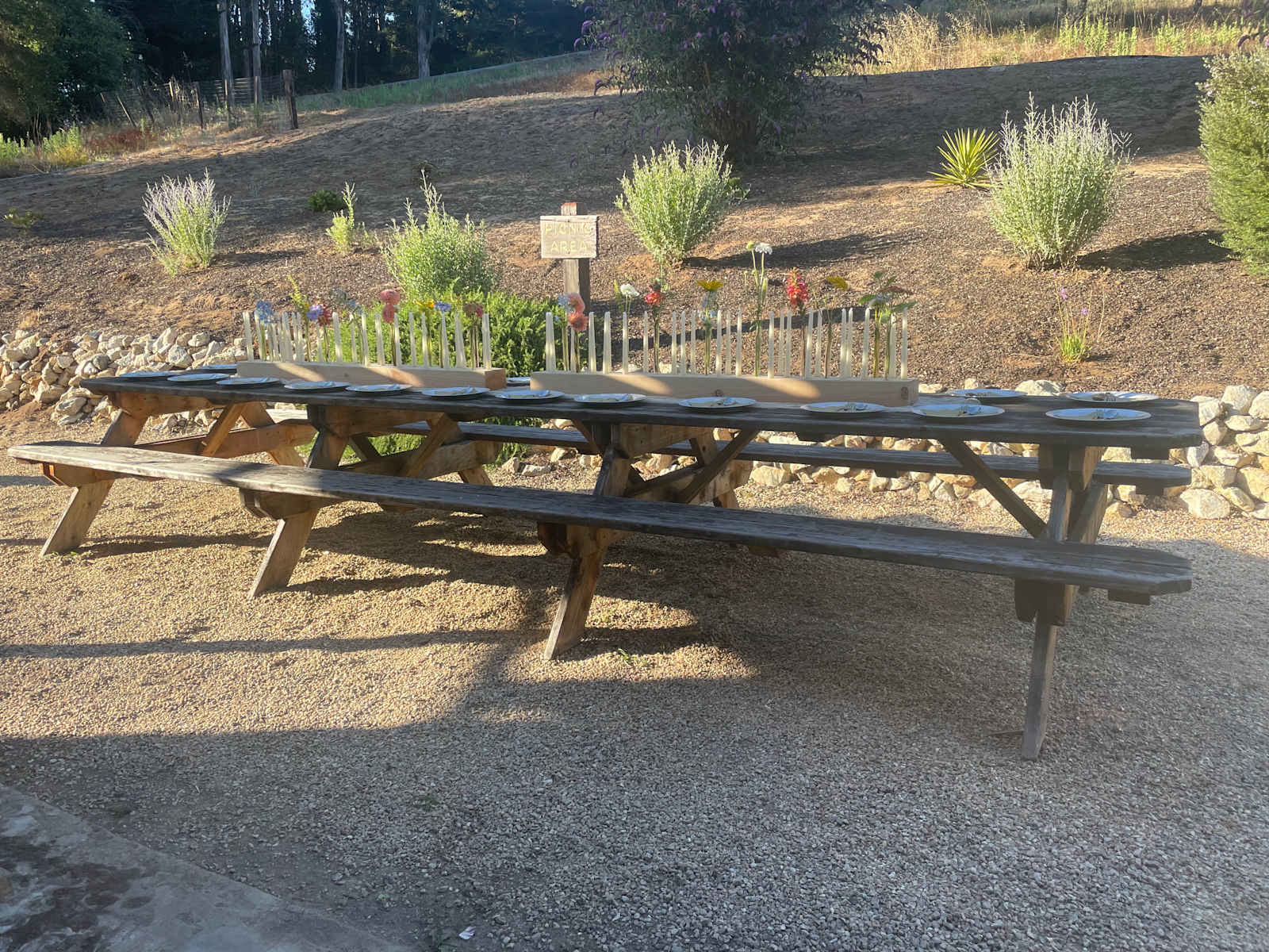 Driftwood Van and Tent Camping - Watsonville, California - glamping.directory