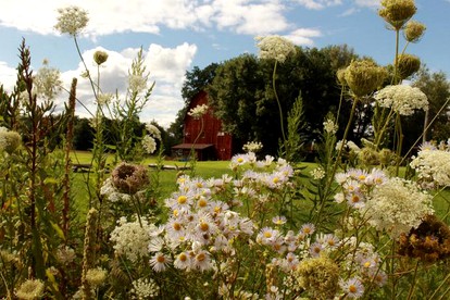 Countryside Bed and Breakfast with Hot Tub and Sauna in Shinglehouse, Pennsylvania - glamping.directory