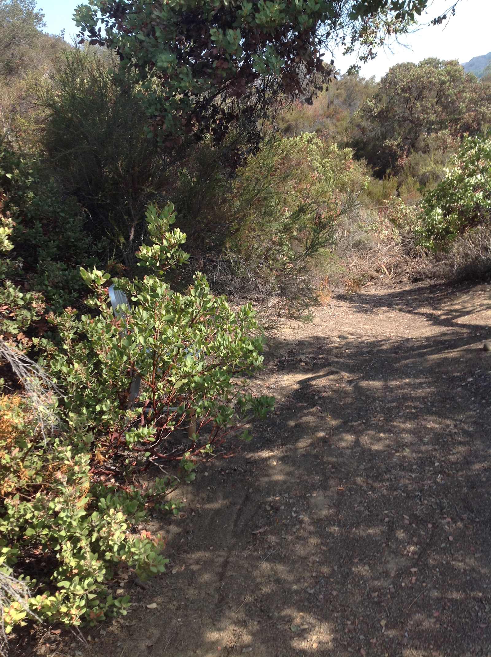 Tentsite Over Topanga - Topanga, California - glamping.directory