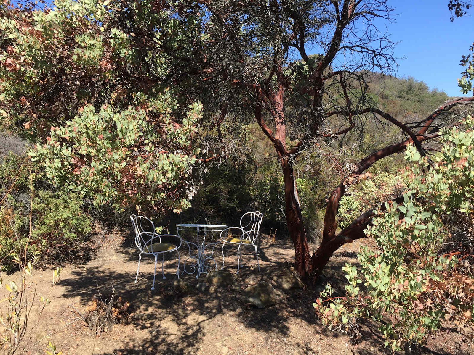 Tentsite Over Topanga - Topanga, California - glamping.directory