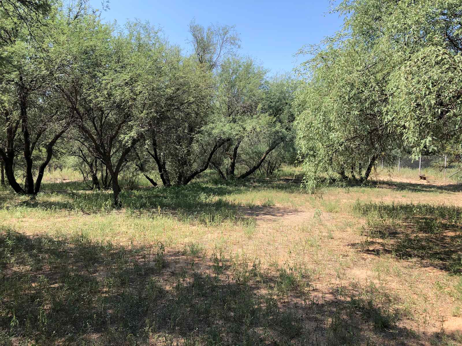 Beaver Creek Oasis - Rimrock, Arizona - glamping.directory