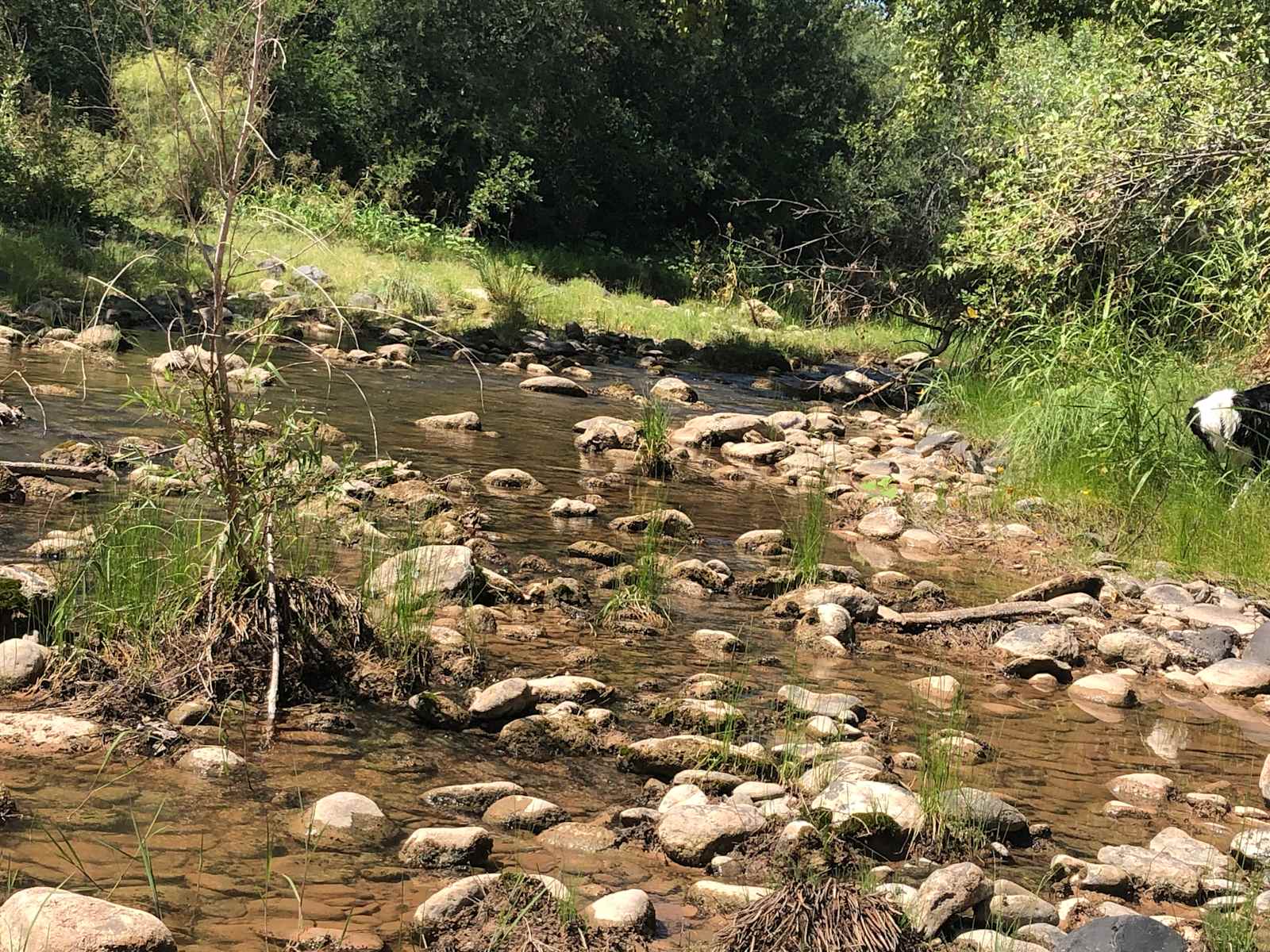 Beaver Creek Oasis - Rimrock, Arizona - glamping.directory