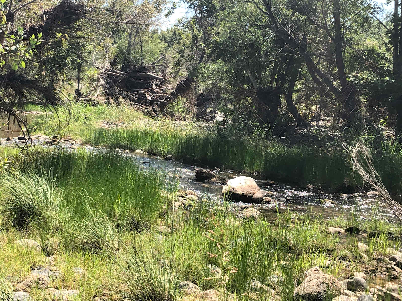 Beaver Creek Oasis - Rimrock, Arizona - glamping.directory