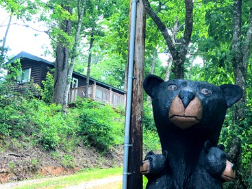 Secluded North Carolina Vacation Rental near the Smoky Mountains - Whittier, North Carolina - glamping.directory