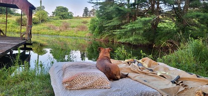Coastal Style Bus Farm Retreat with Pond Dock and Peaceful Nature Views in Stillwater, Pennsylvania - Stillwater, Pennsylvania - glamping.directory