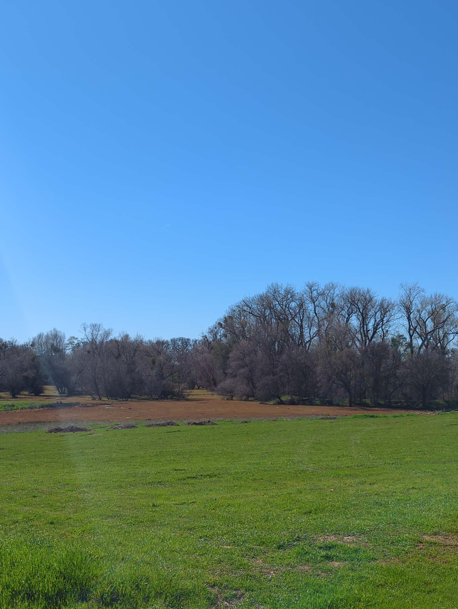 Blackhawk Ravine Campground - glamping.directory