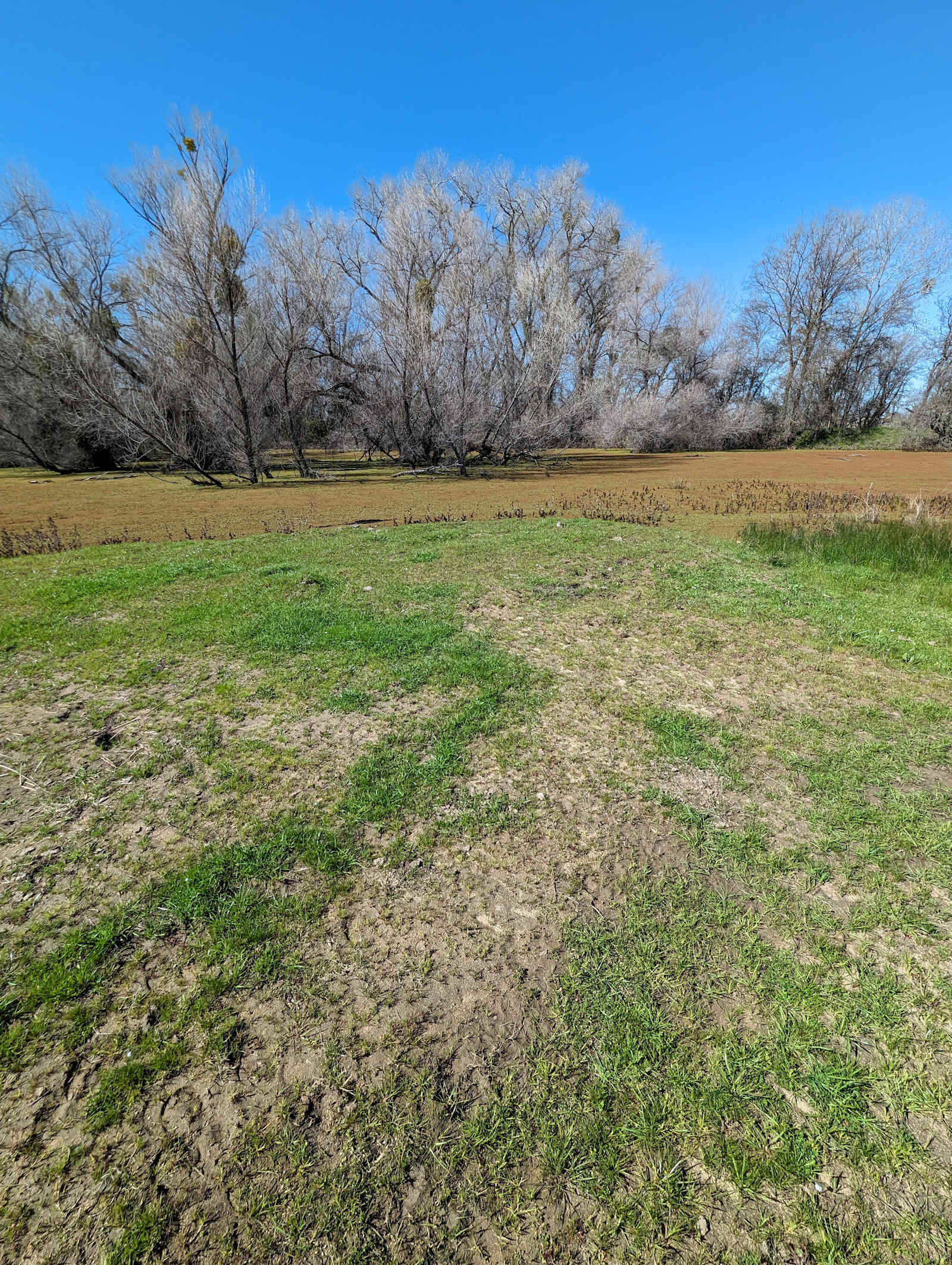 Blackhawk Ravine Campground - Lincoln, California - glamping.directory