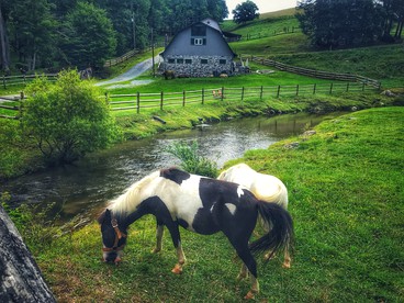 Fantastic Barn Suite with Hot-tub and Petting Zoo in Sugar Grove, North Carolina - Sugar Grove, North Carolina - glamping.directory