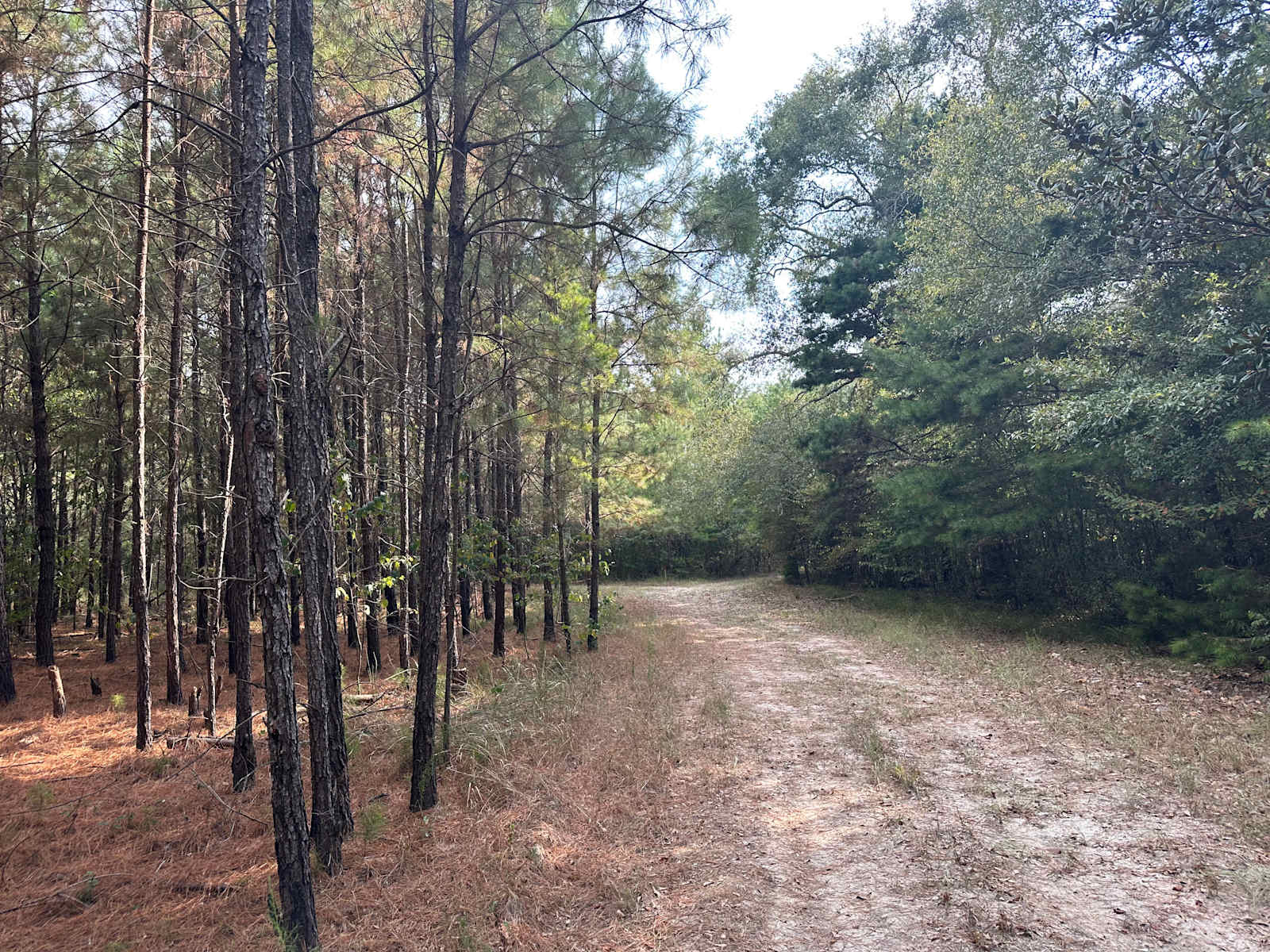 River Life Camping in Alabama - Alabama - glamping.directory