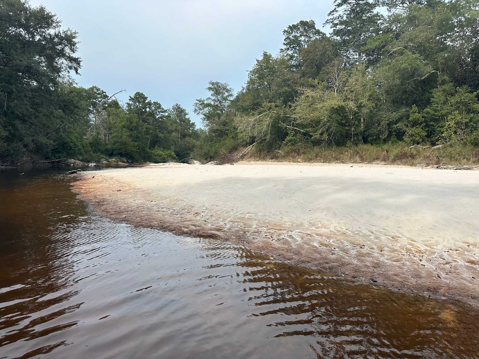 River Life Camping in Alabama - glamping.directory