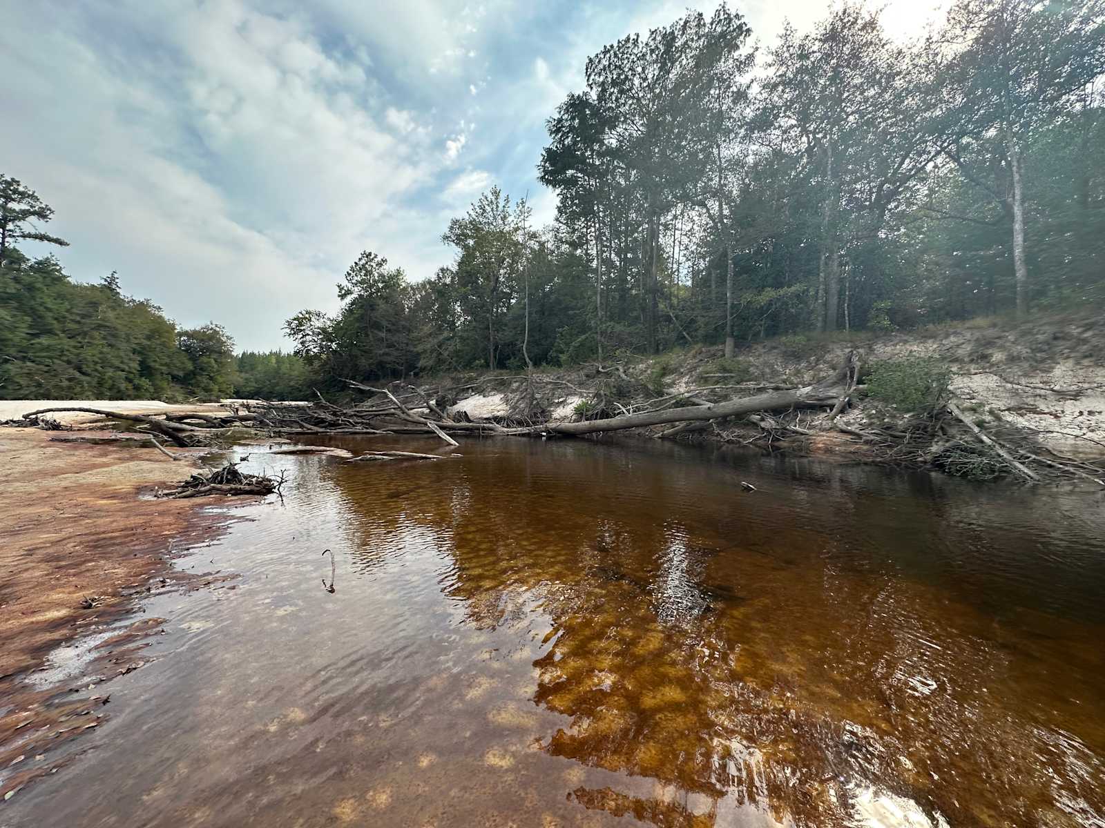 River Life Camping in Alabama - Alabama - glamping.directory