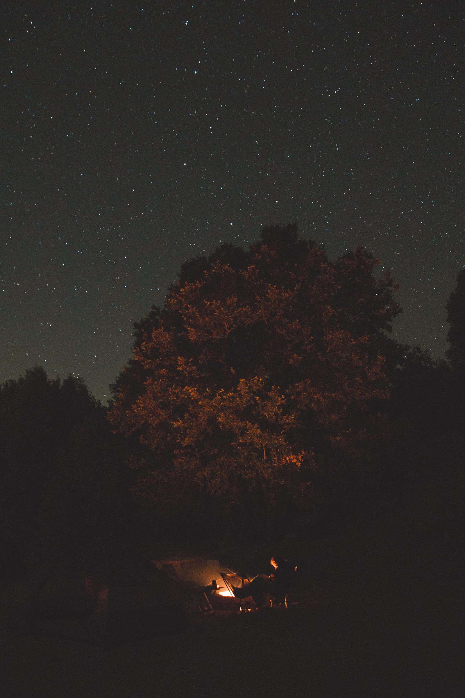 Yosemite Southgate Campground *OYBC - Oakhurst, California - glamping.directory