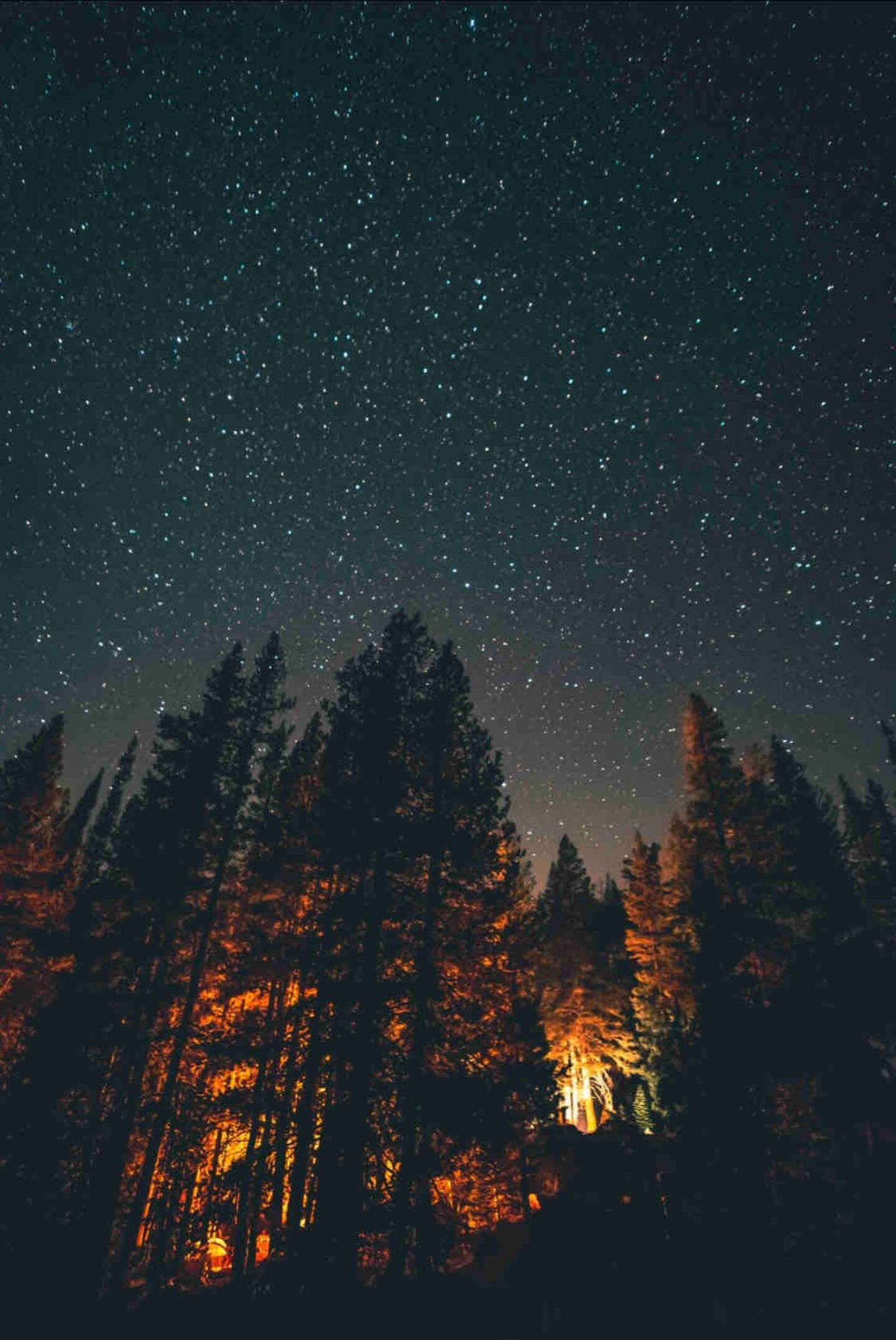 Kirkwood Base Camp - Pioneer, California - glamping.directory