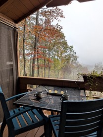 Private Mountain Sanctuary Cabin Surrounded by Protected Forest in Black Mountain, North Carolina - Black Mountain, North Carolina - glamping.directory