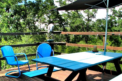 Charming Camping Cabin Rental with Enchanting Views in College Station, Texas - College Station, Texas - glamping.directory