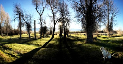 Cozy Camping Cabin for a Family-Friendly Getaway near Sheridan, Montana - Twin Bridges, Montana - glamping.directory