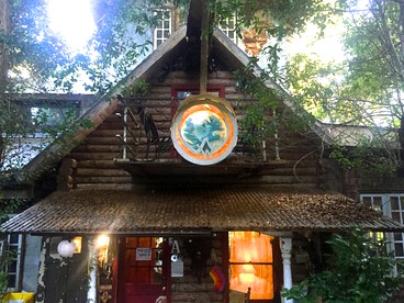 Eclectic Riverfront Log Cabin and Artist Retreat for Groups in Castle Hayne, North Carolina - Castle Hayne, North Carolina - glamping.directory