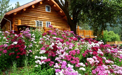 Luxurious Riverside Log Cabin in the Mountains of Southern California - glamping.directory