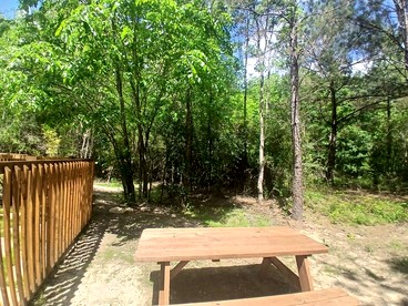 Serene Forest Retreat Home with Waterfall Pool, Creek & Kayak Access near Houston, Grimes County, Texas - Grimes County, Texas - glamping.directory