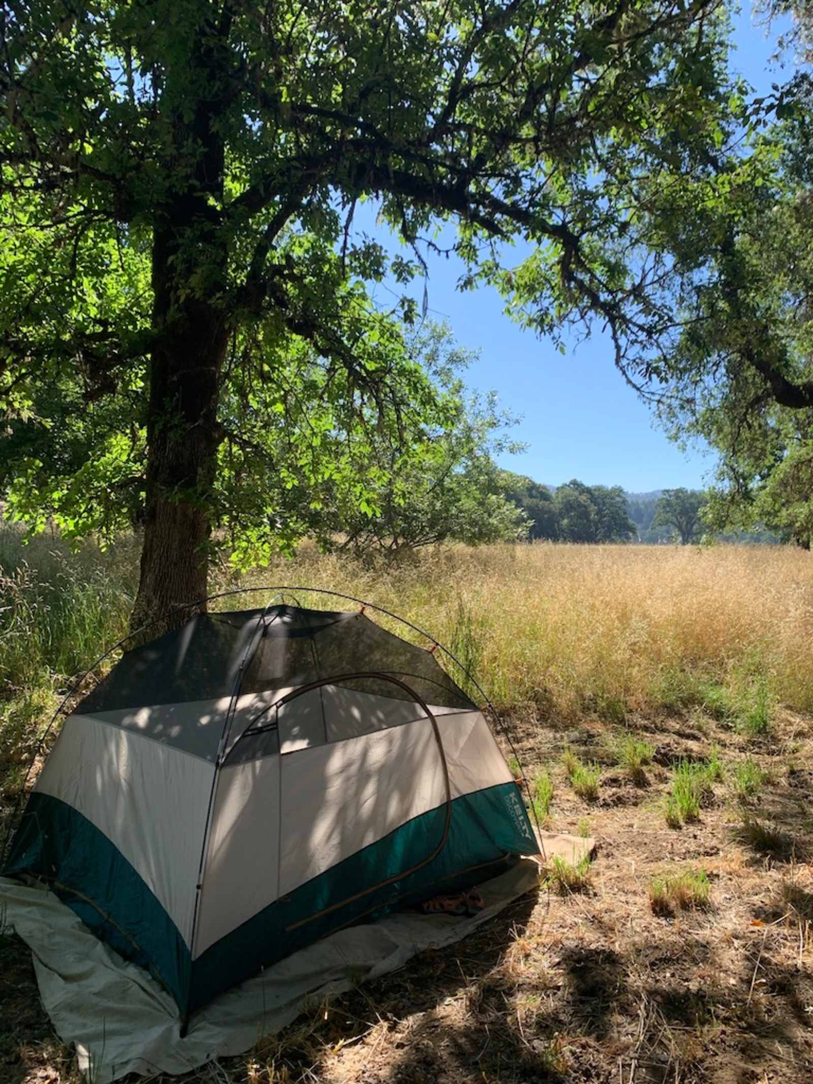 Black Oak Ranch - Laytonville, California - glamping.directory
