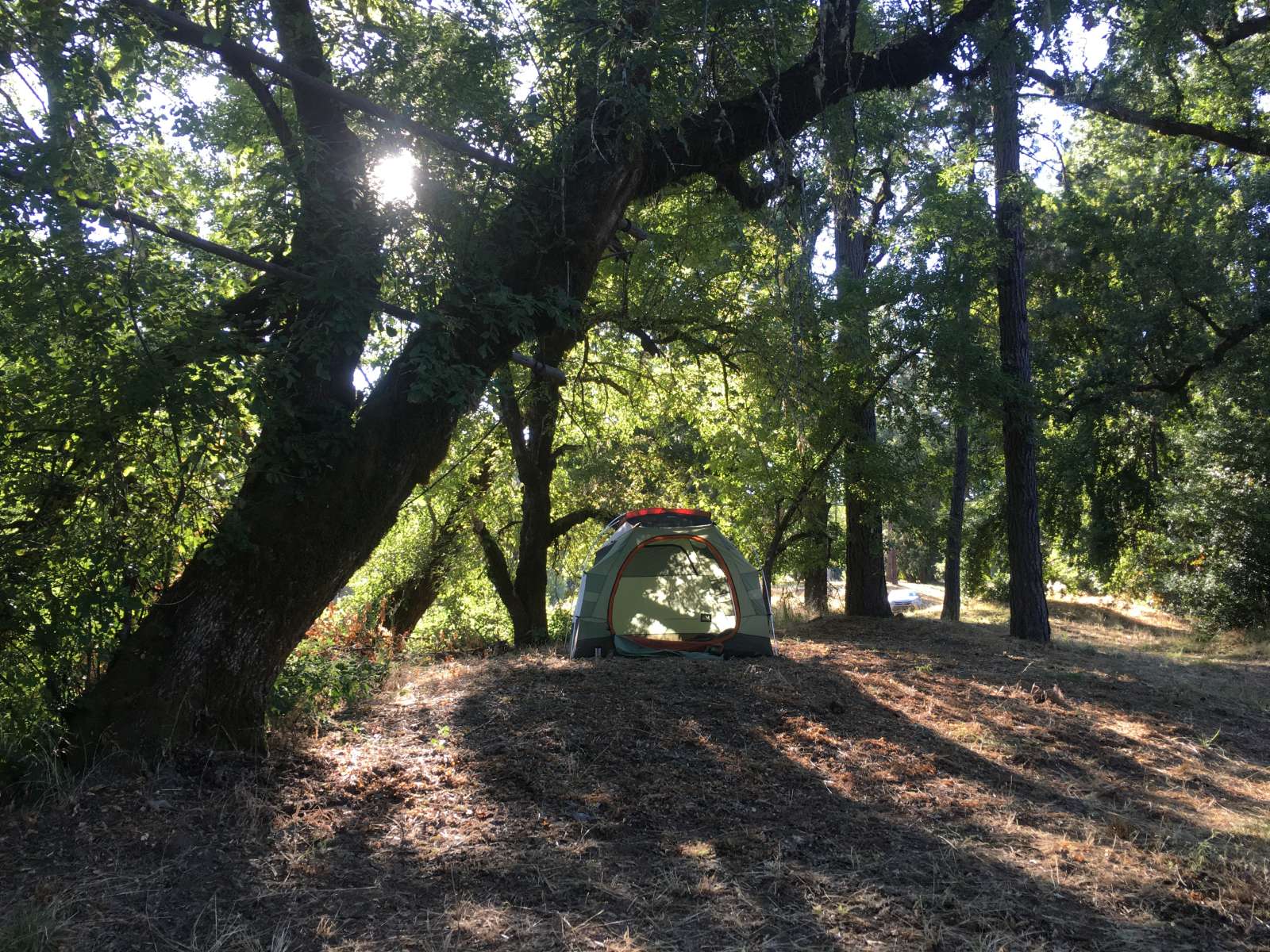 Black Oak Ranch - Laytonville, California - glamping.directory