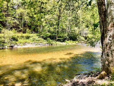 Cozy Cabin with Direct Access to the Toccoa River, a Perfect Escape for Fishing Lovers in Suches, Georgia - Suches, Georgia - glamping.directory