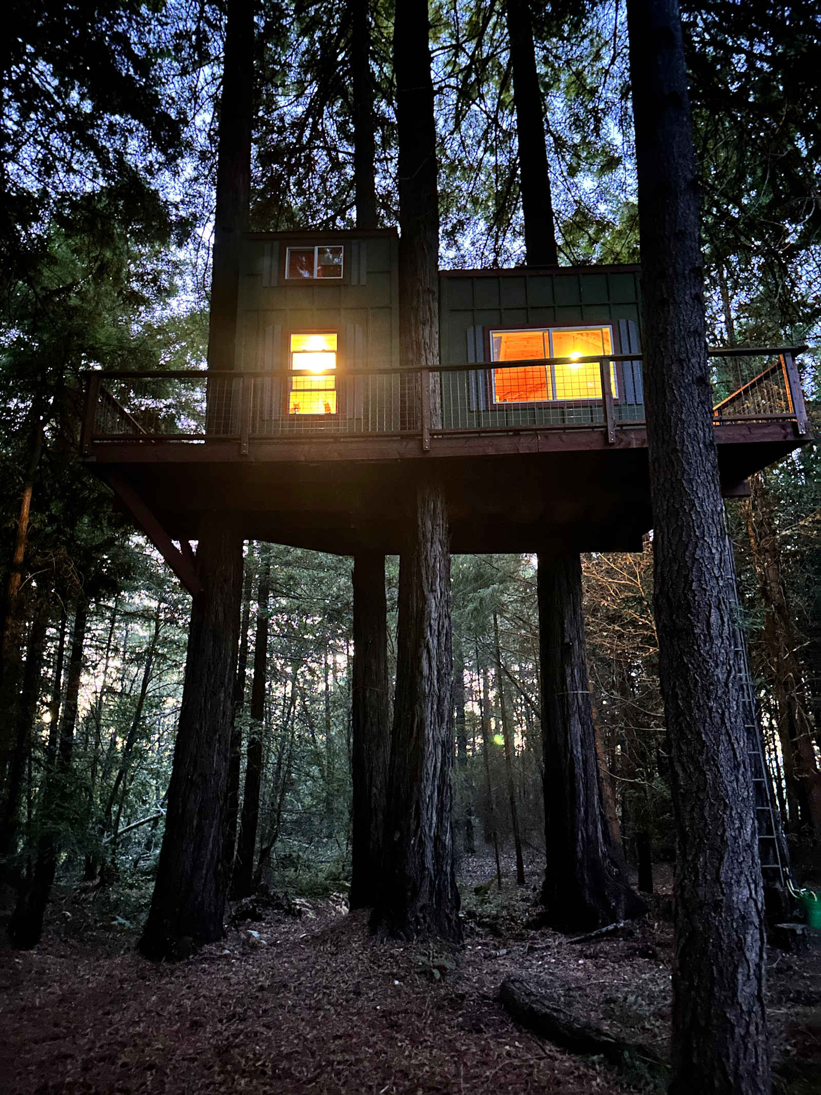 Moon Bear wildlife Sanctuary - Occidental, California - glamping.directory