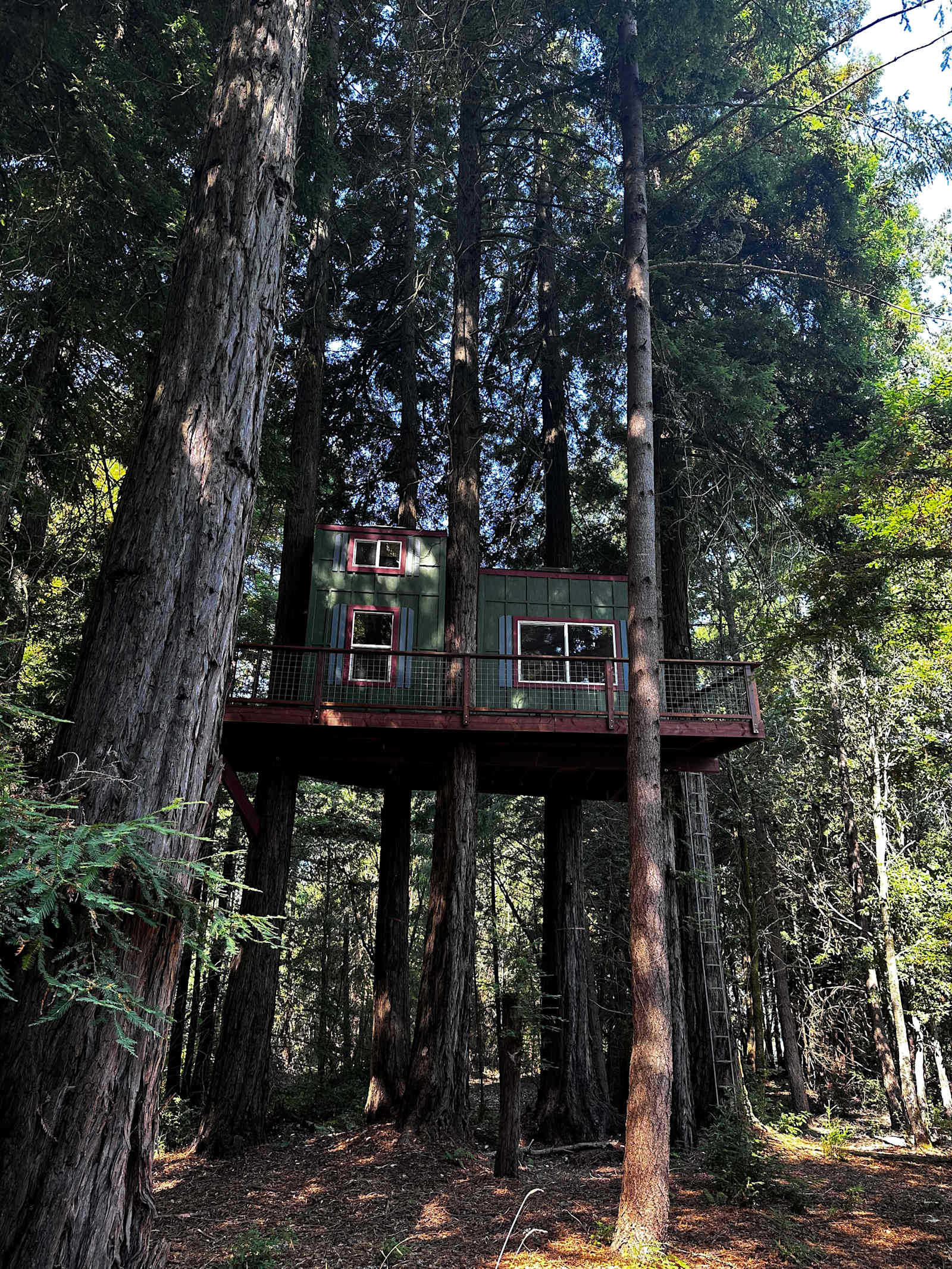 Moon Bear wildlife Sanctuary - Occidental, California - glamping.directory