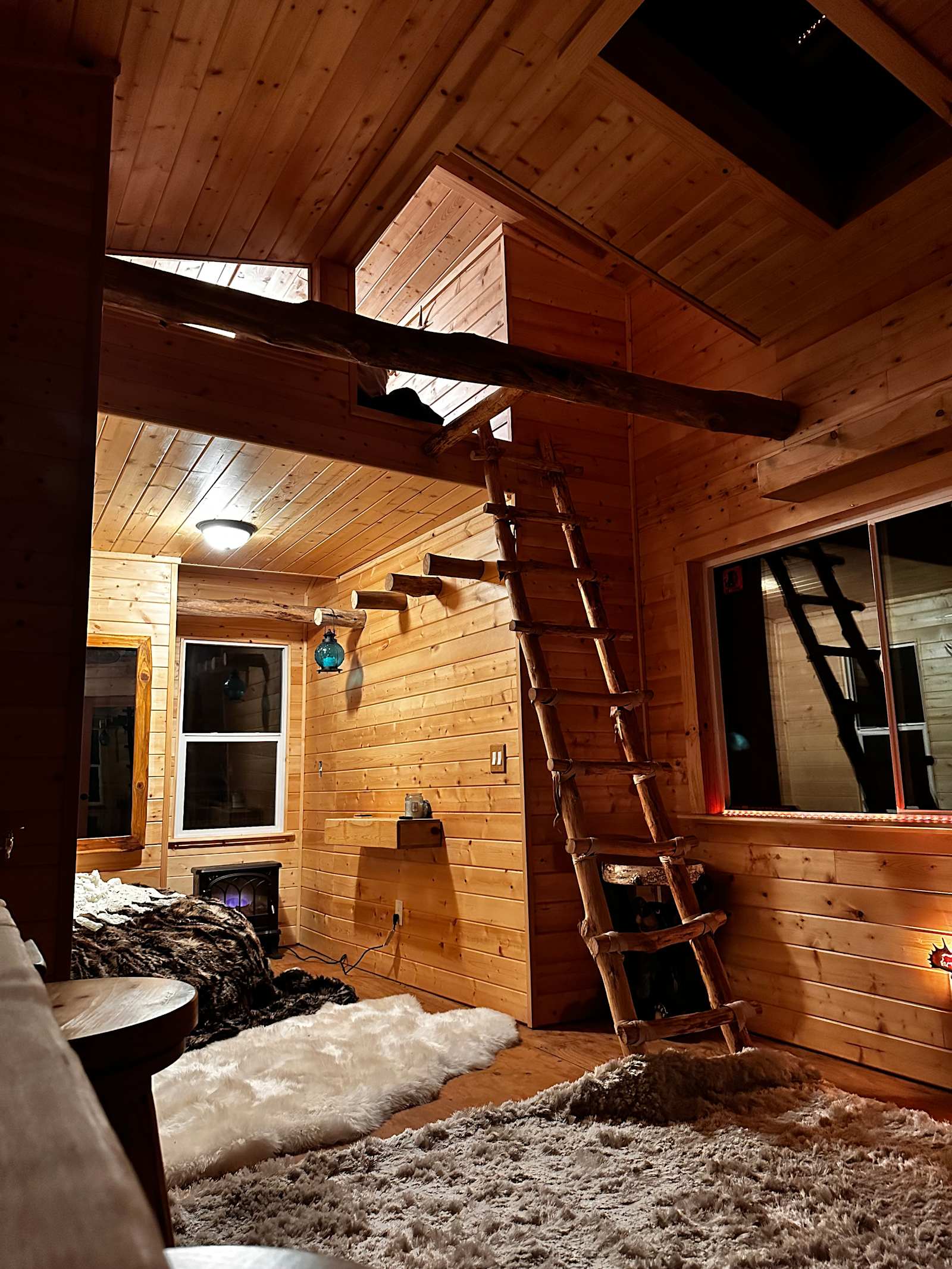 Moon Bear wildlife Sanctuary - Occidental, California - glamping.directory