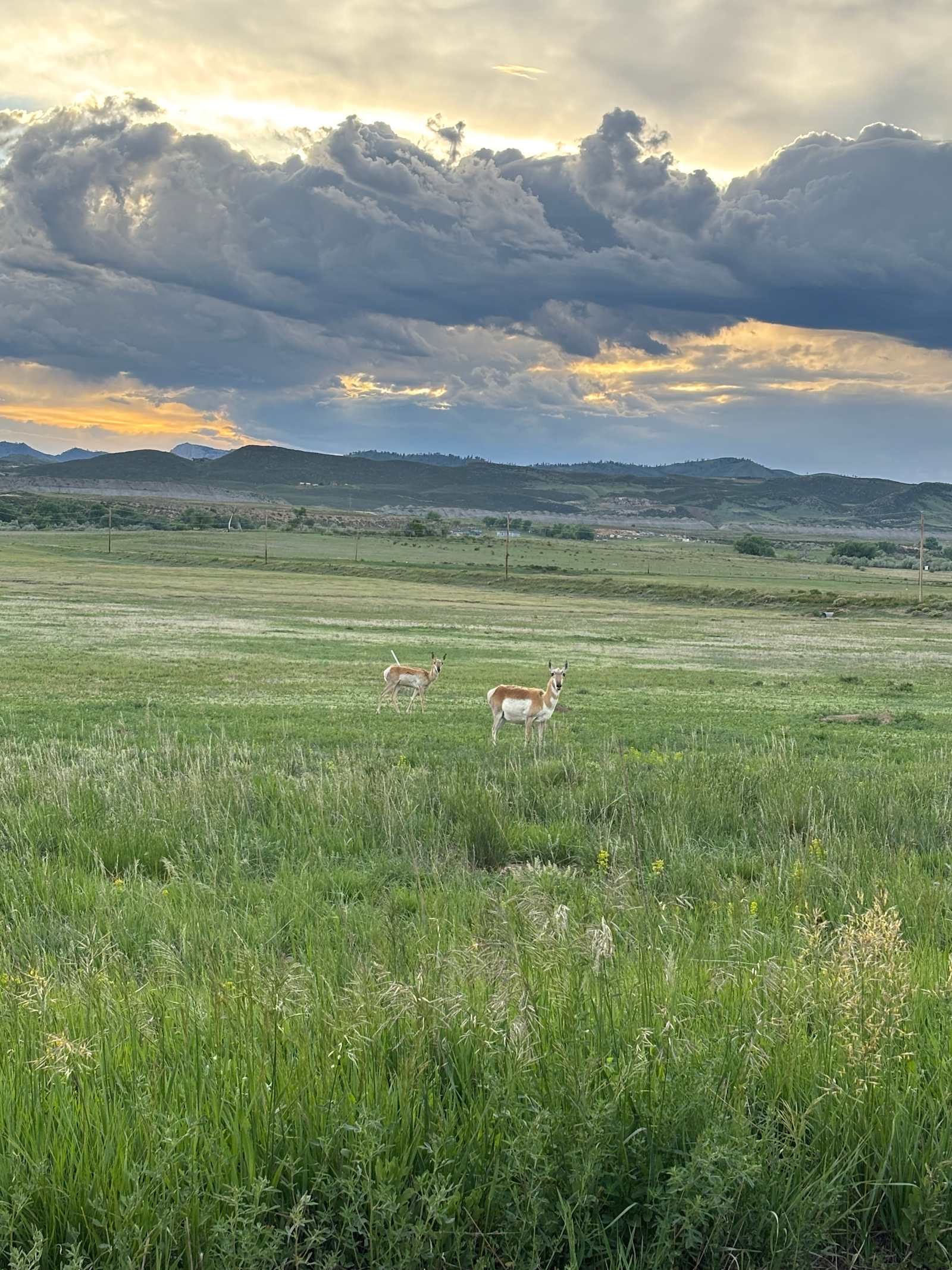 Hollow Haven Ranch - Fort Collins, Colorado - glamping.directory