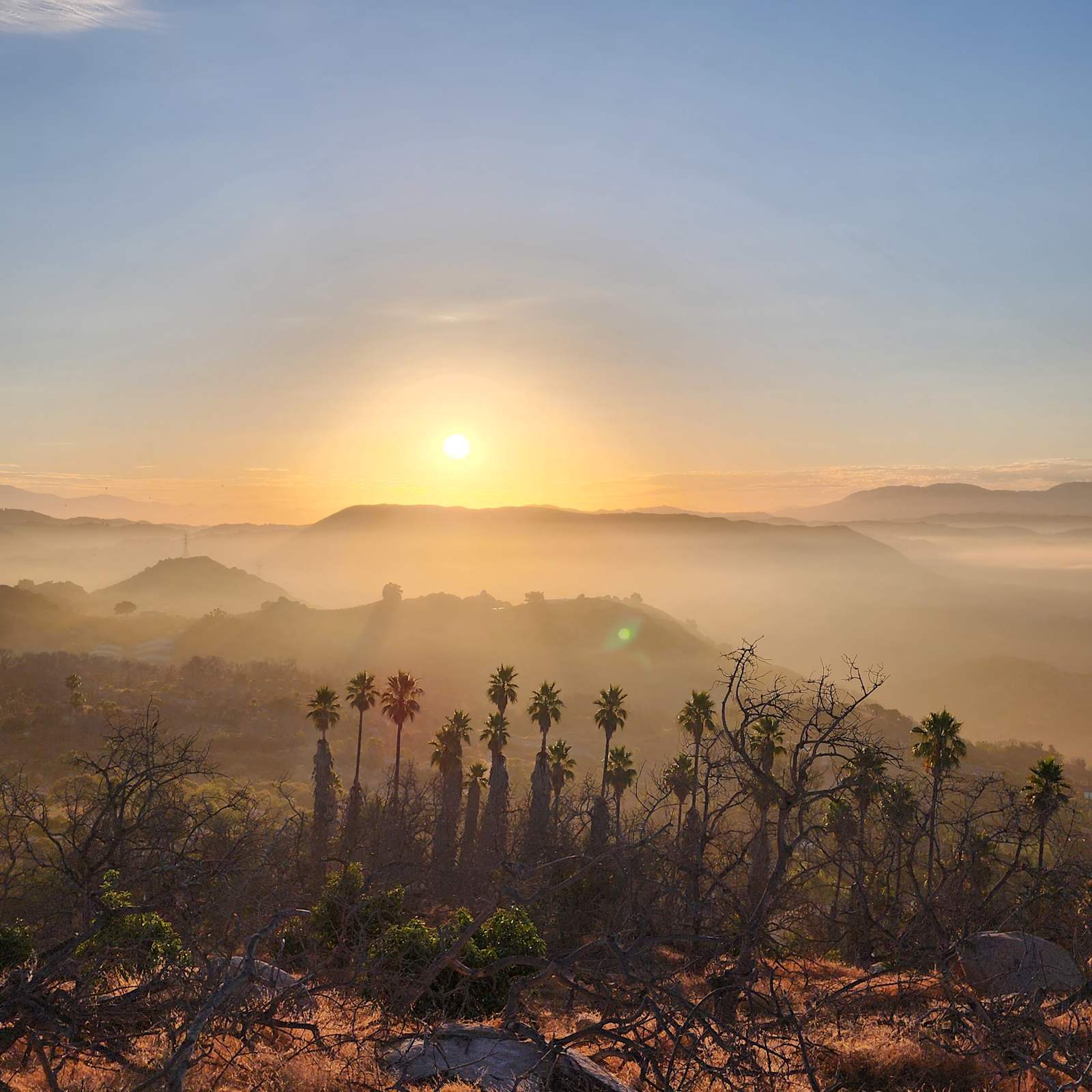 Splitrock - Branch Out Glamping - Fallbrook, California - glamping.directory