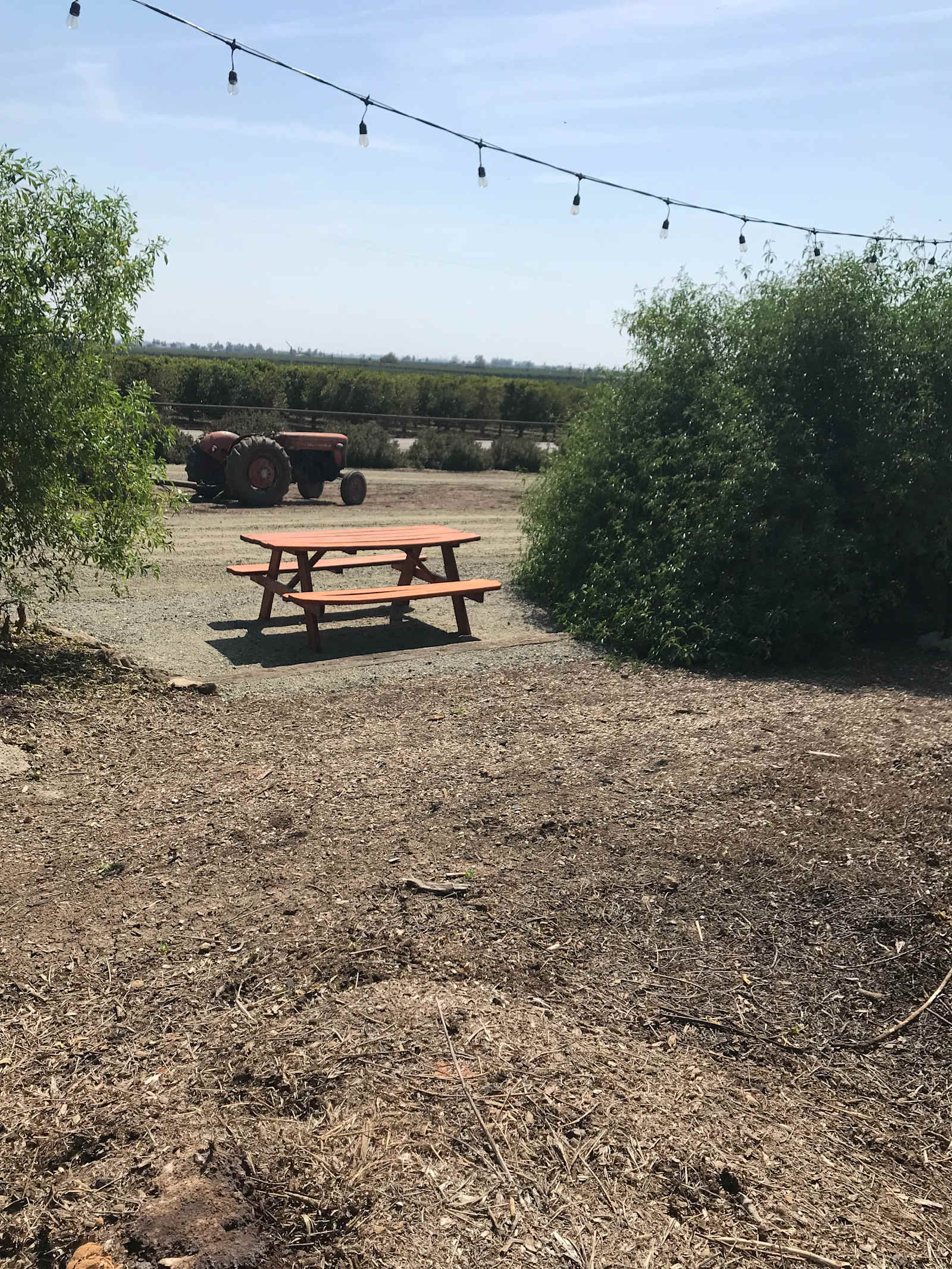 Lucky Dog Ranch with Pickleball - Exeter, California - glamping.directory