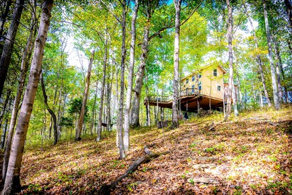 Magical Family Tree House in Secluded Woodland near Germantown, Kentucky - Germantown, Kentucky - glamping.directory